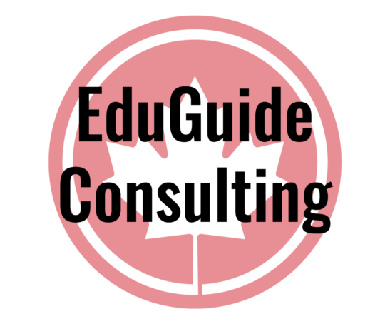 Viable World Solutions EduGuide Consulting Project