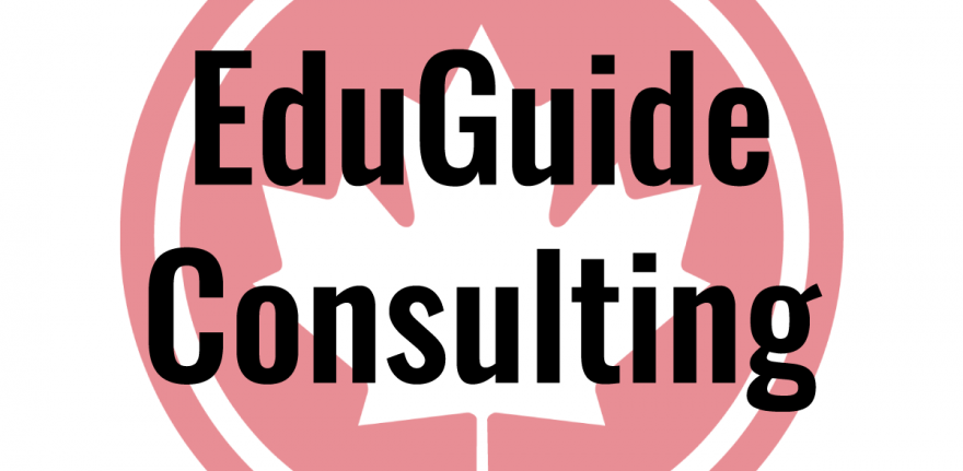 Viable World Solutions EduGuide Consulting Project